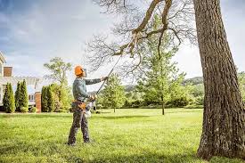 Mustang, OK Tree Care Company